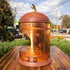 Fully Restored Vintage Victoria Arduino Venus 1970s