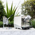Brand New Faema Faemina Dual Boiler Commercial Coffee